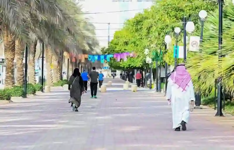 نسبة كبار السن بين سكان السعودية ونسبة الشباب وسبب تراجع المواليد الجدد 