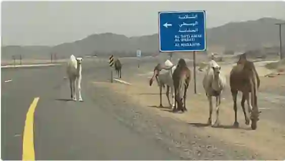 خطر مميت ينتشر على الطريق بين القويعية والدوادمي 