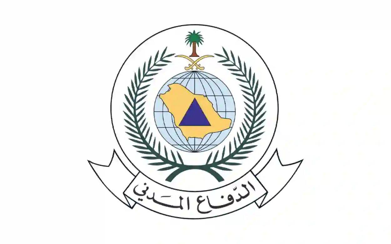 أفضل أنواع طفايات الحريق المناسبة للبيوت وحوادث الحريق فيها 